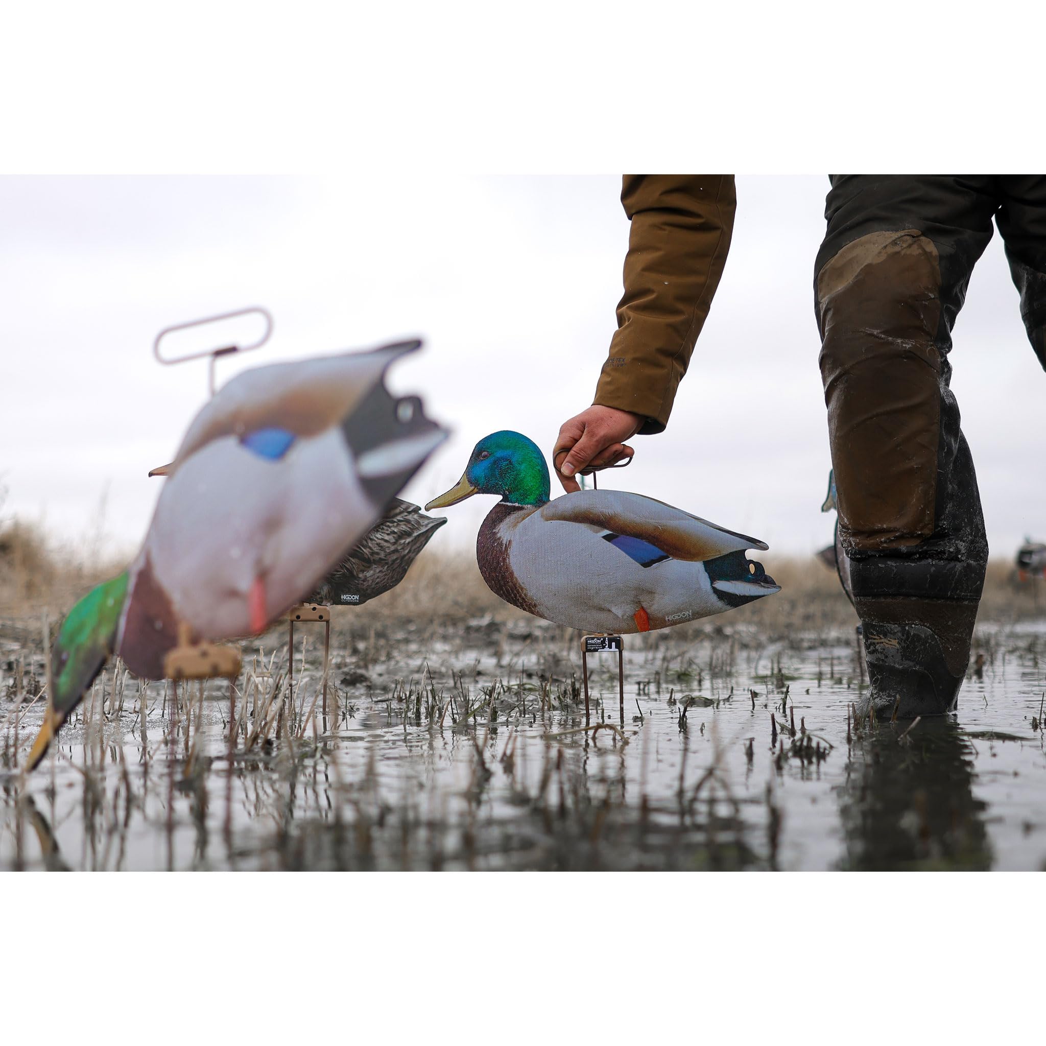 Amazon.co.jp: Higdon Outdoors フラットマガモ モーションシルエット