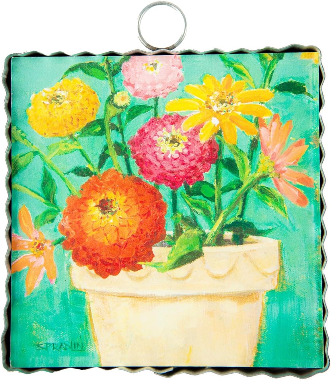 Amazon.com: The Round Top Collection - Mini Gallery Pot of Zinnias ...