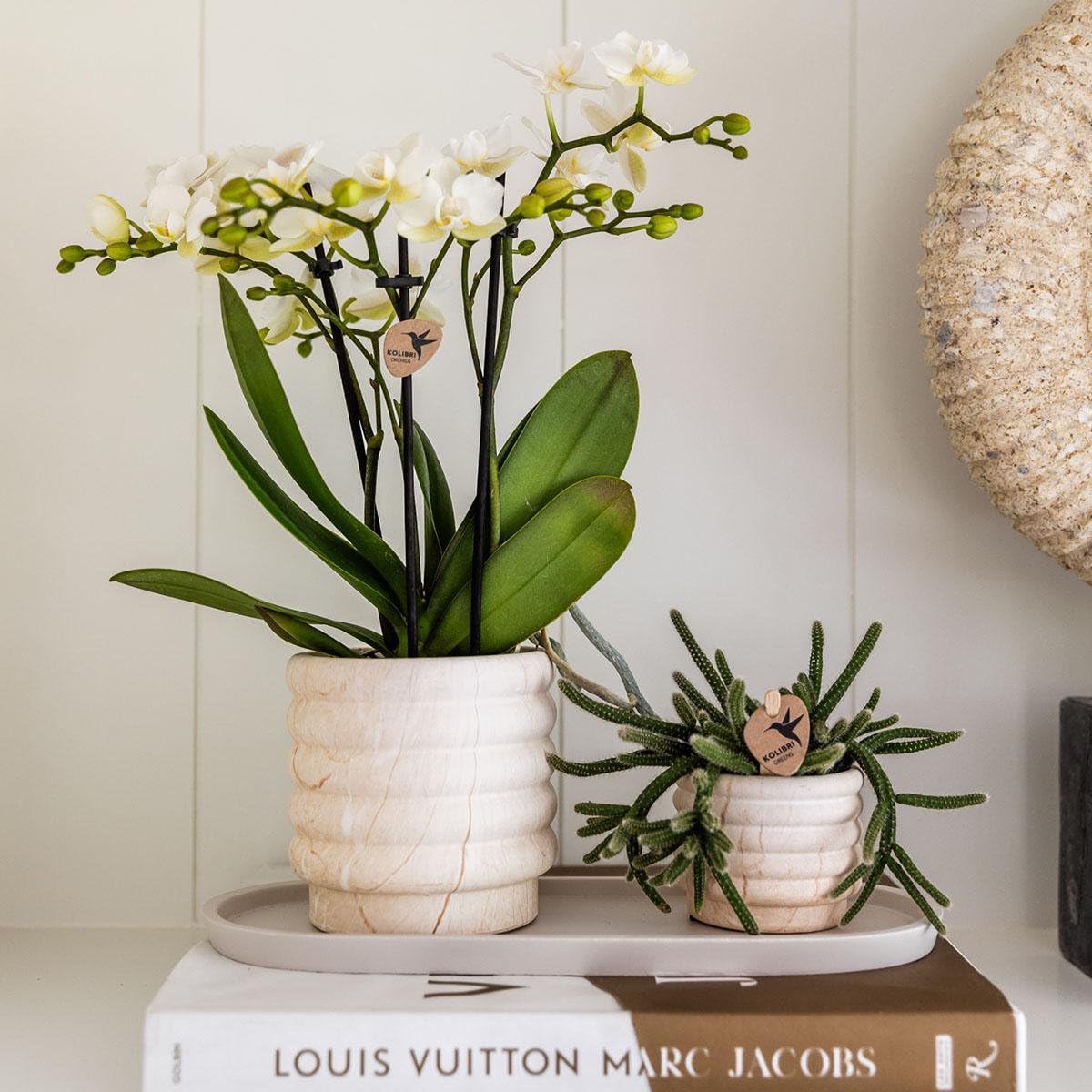 Lot de 3 Cache-pots Effet Marbre pour Plantes, Décoration Intérieur, Blanc