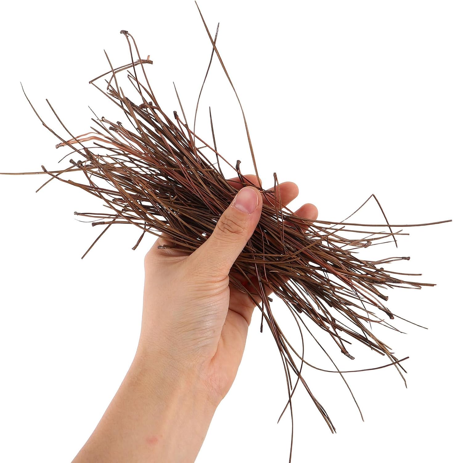HAPINARY Natural Pine Needles for Weaving - DIY Basket Weaving Materials - Art Pine Needle Crafts for Table Decor, Vase Filler, Streamer Liner, Tea, Essential Oils