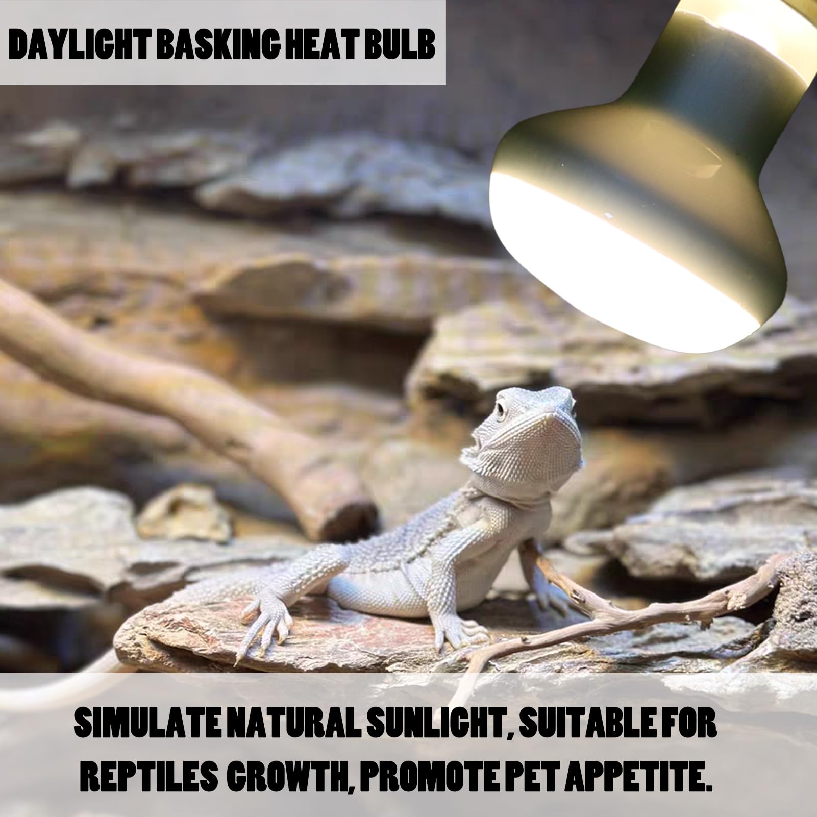 Reptile Heat Lamp Bulb 100 Watt, Day Time & Night Basking Spot Light Combo Pack, Amphibians Infrared Red Heat Light Bulb and Daylight Heating Lamp for Bearded Dragon, Leopard Gecko, Chicken, 4 Pack - image 4