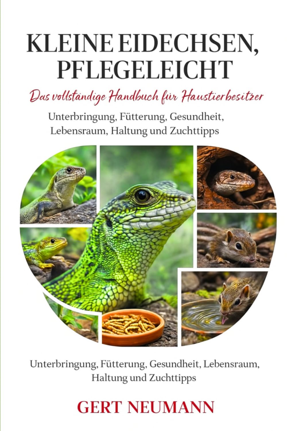 KLEINE EIDECHSEN, PFLEGELEICHT: Das vollständige Handbuch für Haustierbesitzer Unterbringung, Fütterung, Gesundheit, Lebensraum, Haltung und Zuchttipps