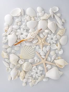 青と白の貝殻モビール　2ケセット 青と白の貝殻モビール 2ケセット 楽天市場】巻貝 貝殻 青緑 白 ブルー