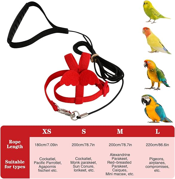 Harnais réglable pour Perroquet Laisse pour Animal Domestique Corde Anti-Morsure Sangle élastique pour Oiseaux perroquets cacatoès aras - 2