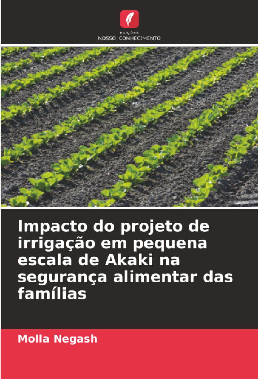 Impacto do projeto de irrigação em pequena escala de Akaki na segurança alimentar das famílias