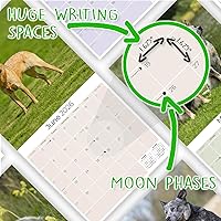 Vista 952 de Razas de Perros 2017