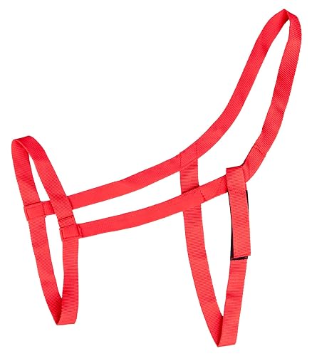Weidehalfter, rot, WB