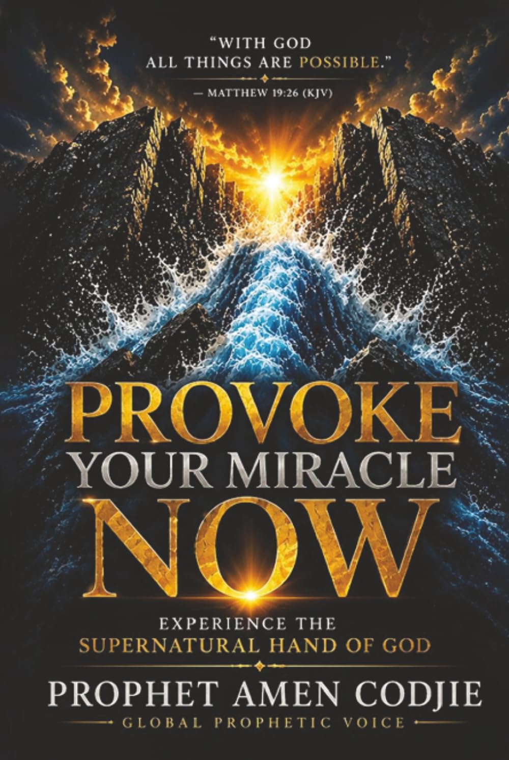 Provoke Your Miracle Now: Awaken Expectation, Activate Faith, and Step Into Divine Healing, Restoration, Breakthrough, and Supernatural Possibilities