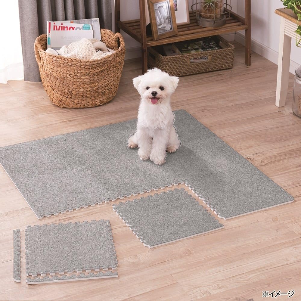 Amazon.co.jp: カインズ(CAINZ) ＆Pet 縁付制菌防臭ジョイントマット