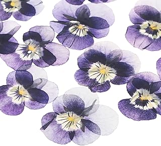 M METERXITY 12-Pack Dried Pressed Flowers for Resin, Real Natural Bulk D...