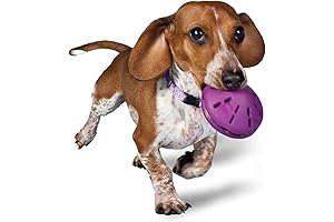 Pet Supplies Busy Buddy Twist 'n Treat Dispensing Dog Toy for Small Dogs