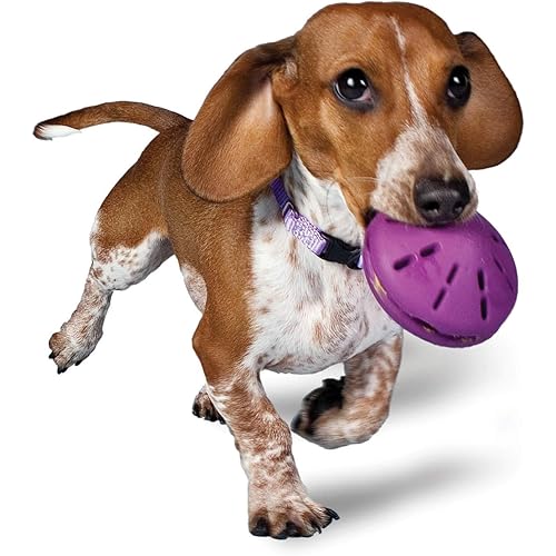 PetSafe Busy Buddy Twist 'n Treat Dispensing Dog Toy - Small, for Medium Breeds.,Small