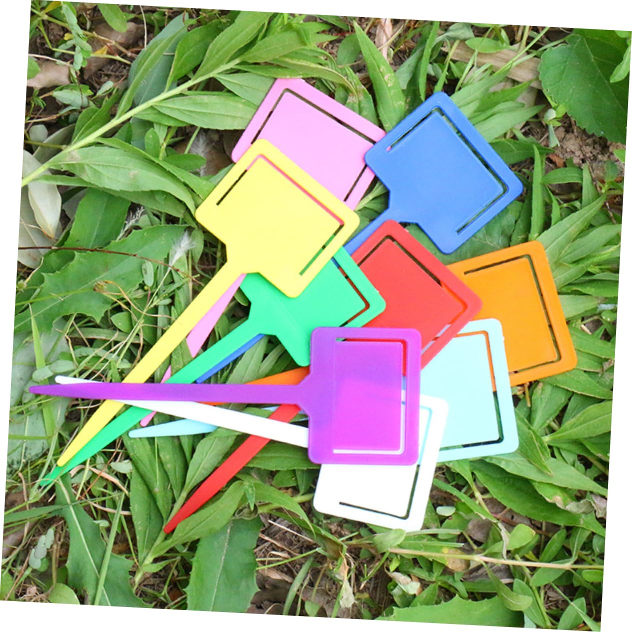 POPETPOP 3 Juegos Tarjeta De Inserción A Prueba De Agua Impermeable Planta Insertar Tarjeta Etiqueta Pp Etiqueta Resistente A La Luz De Clasificación De Jardinería 50 Uds * 3
