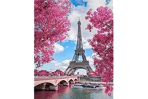 Paint by Numbers for Adults: Explore the Charm of Paris