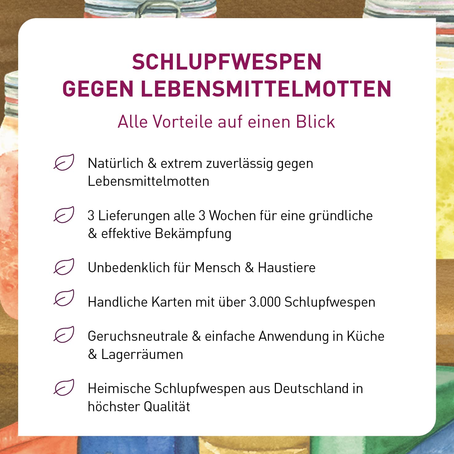 Plantura Schlupfwespen gegen Lebensmittelmotten, Komplett-Lösung mit 9 Karten (3 Karten à 3 Lieferungen) - hochwirksame & nachhaltige Bekämpfung, Alternative zu Mottenkugeln