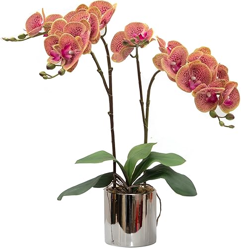 Vista 38 de CXGS Plantas artificiales de orquídeas artificiales de tacto real, orquídeas falsas en jarrón de cerámica de 20.9 pulgadas, orquídea falaenopsis