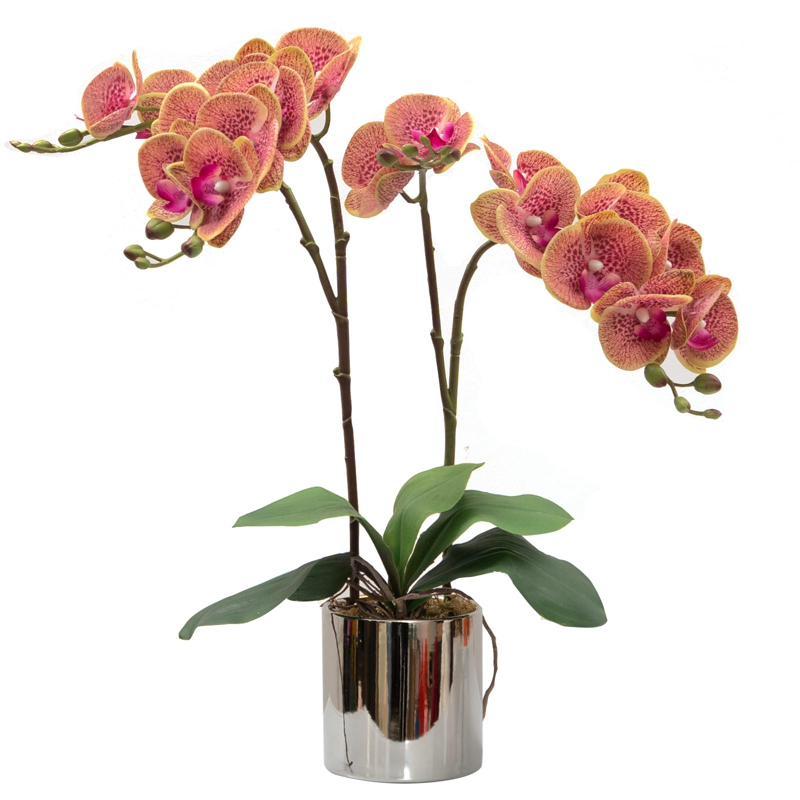 CXGS Real Touch Faux Orchid