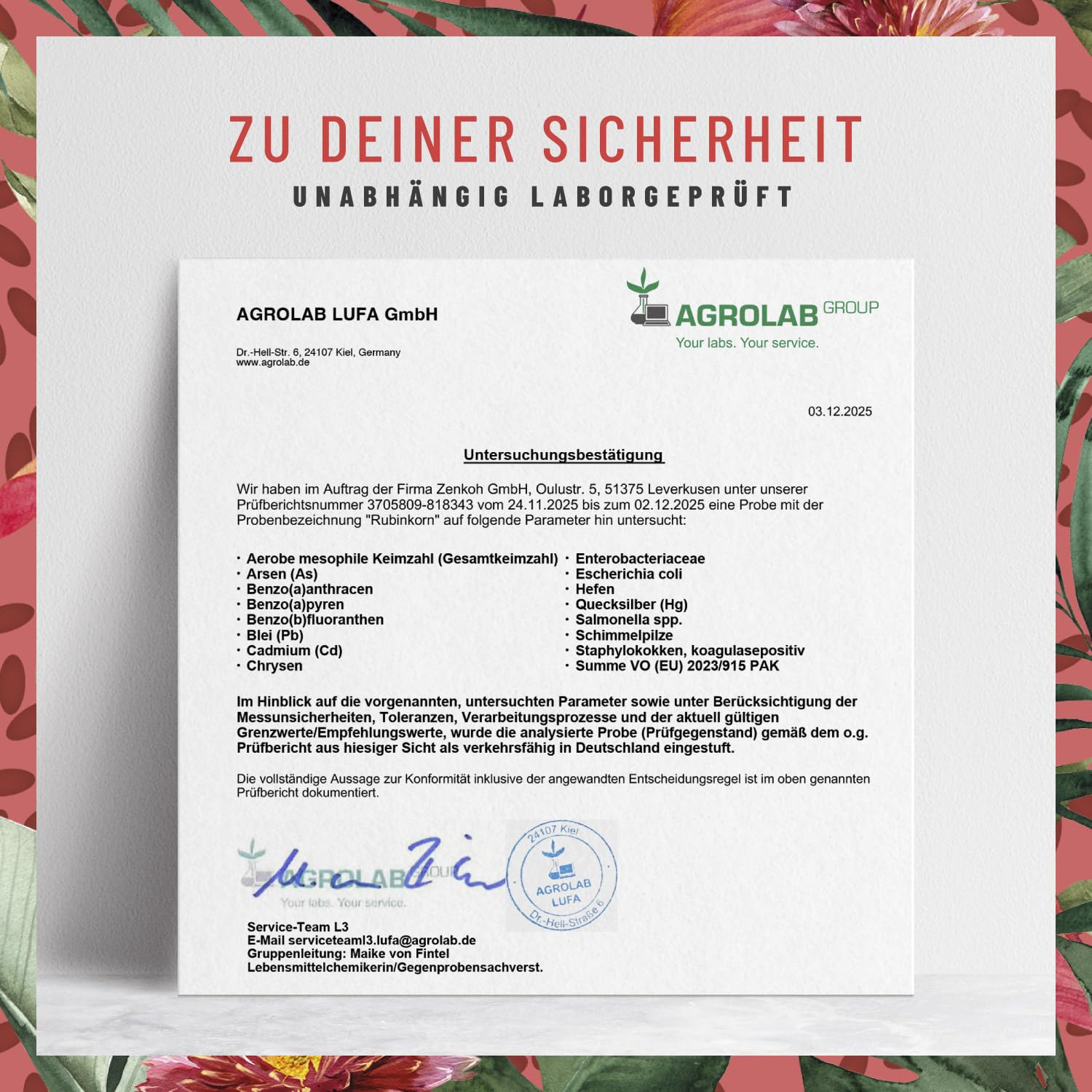 NATURTREU® Roter Reis Komplex abgerundet mit schwarzem Knoblauch Extrakt - 2,9 mg Monacolin K pro Tagesdosis - mit Cholin für normale Leberfunktion - Fermentierter Roter Reis - 120 Kapseln