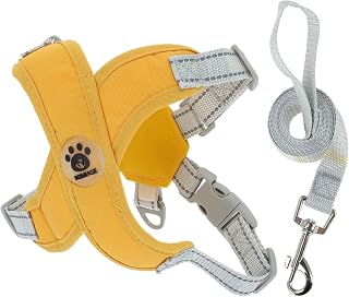 1 Set Dog Harness with Dog Leash Set, X Framework, Adjustable Anti Pull Dog Chest Harness, Medium Dogs and Puppies, Breathable Dog Vest with Leash, S, Yellow