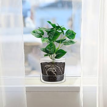 縦長60cmガラス鉢　 オマケ付きミニガラス 縦長60cmガラス鉢 オマケ付きミニガラス 楽天市場】ガラス