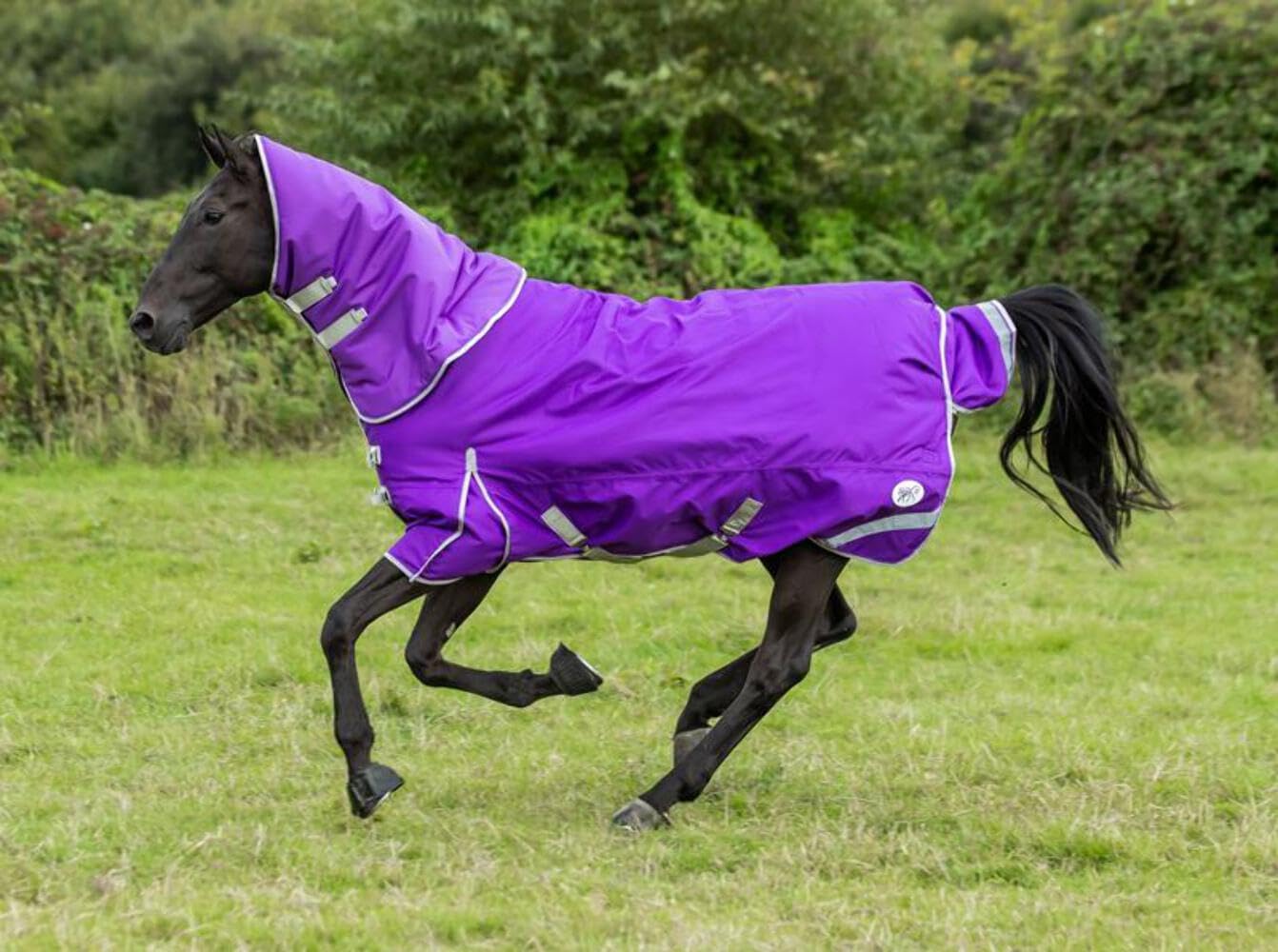 Swish Equestrian 50g Detachable Neck Turnout Rug - Purple 1200denier
