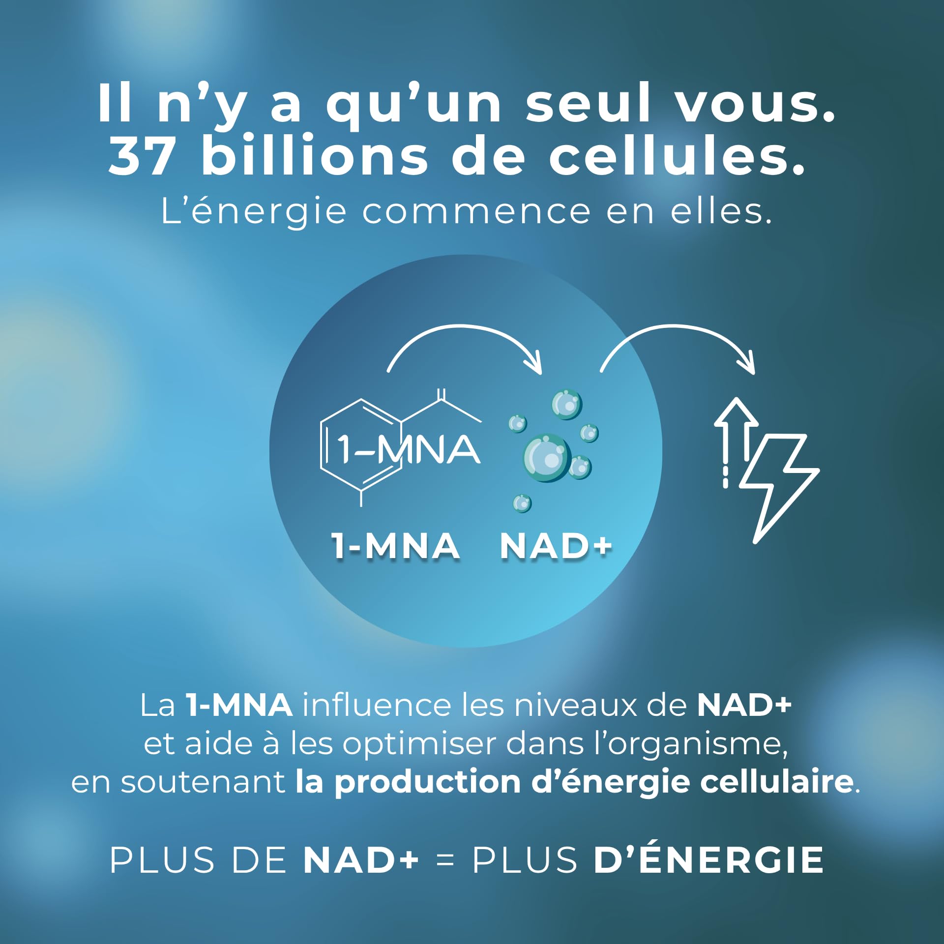 1-MNA Brain, Supplément Anti-âge, Optimise le NAD+, avec Ginkgo Biloba, Zinc, Biotine, Vitamines C, B1, B5, B6, B12, L'humeur, Mémoire, Concentration, 30 Capsules