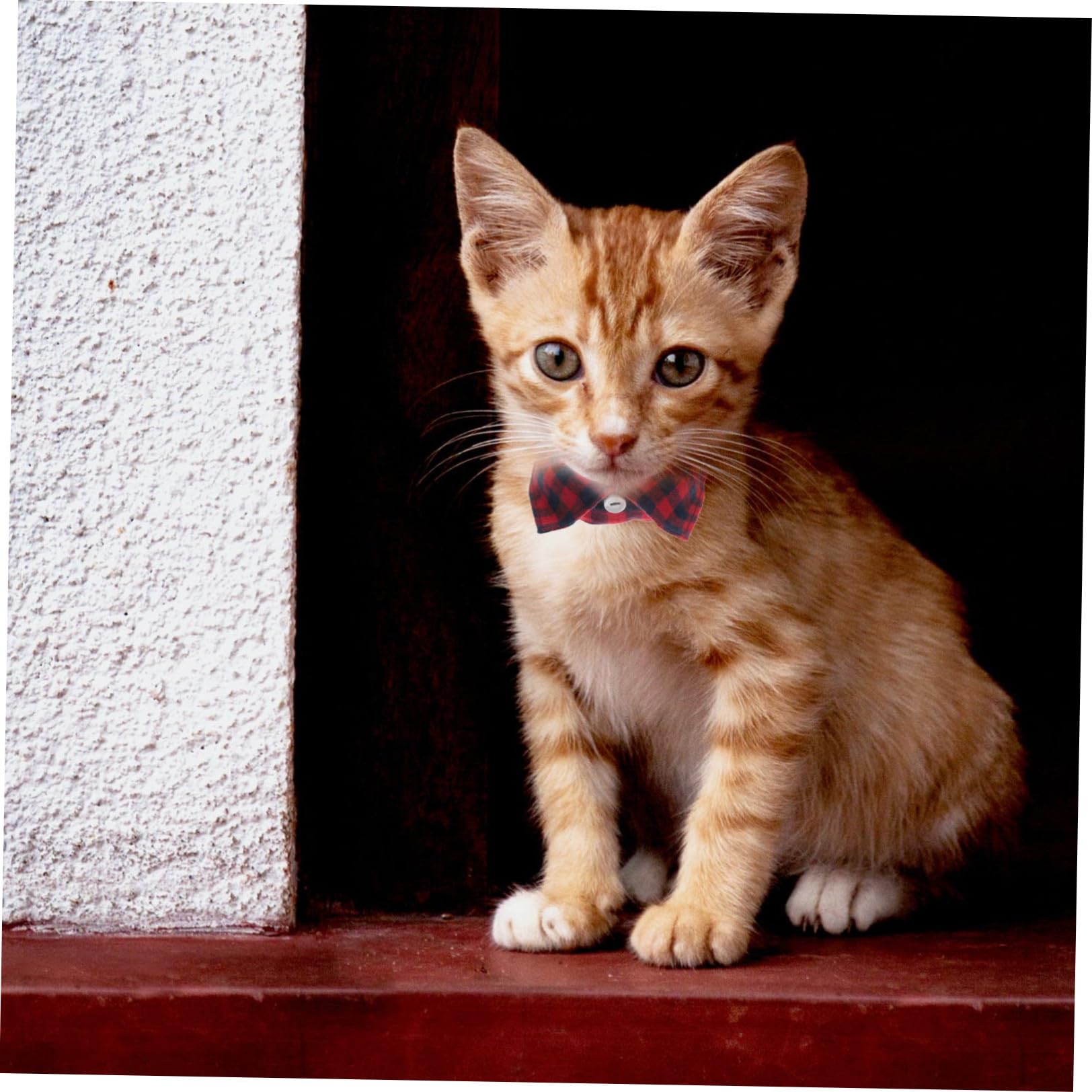 Happyyami 5stücke Verstellbares Katzenhalsband Mit Glocke Und Süßem Krawatten-Design Für Tägliche Nutzung Partys Und Fotoshootings Sicher Und Langlebig Für Katzen Und Kätzchen
