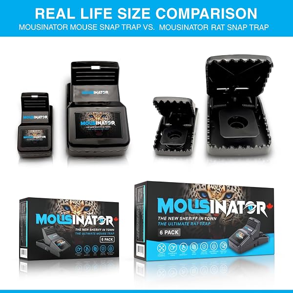 Mouse Trap | 6-Pack | Professional Mouse Snap Traps for Indoor and Outdoor Use | Easy to Set | Safe and Reusable Design | Easy to Clean | Best Effective Small Mice Catcher that Work Mouse Snap Trap 6 Pack - 4
