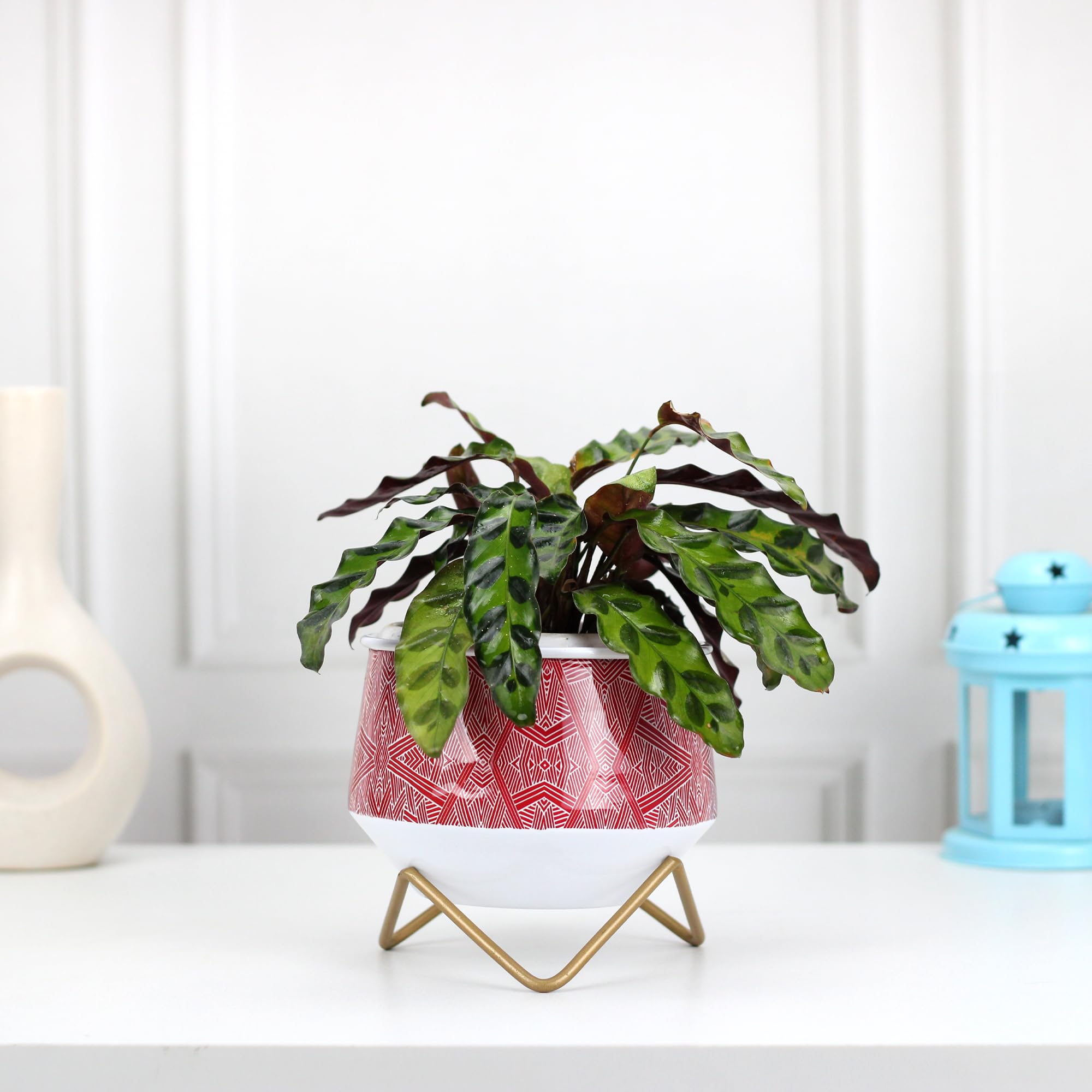 Urban Plant Caramel Mini Metal Planter | Trending Pots | Unique Designer Flower Vase (Aipan Delight) (B0BFVK7W3Y) Amazon Price History, Amazon Price Tracker