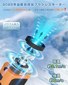 涼風 91cm×122cm 71ISqxRjyaL._UF350,350_QL80_.jpg