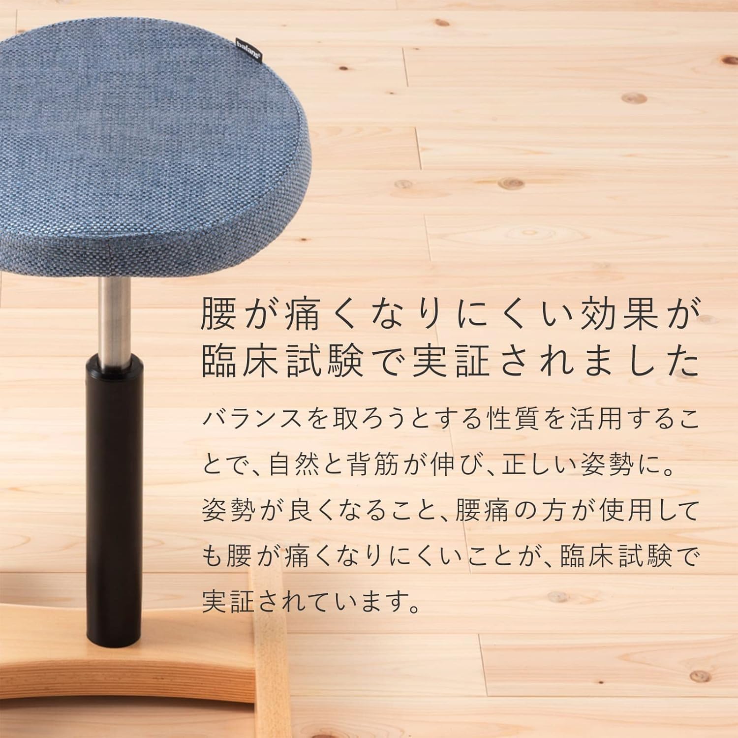 バランス シナジー ラウンド 織柄ブルー バランスラボ(旧サカモト