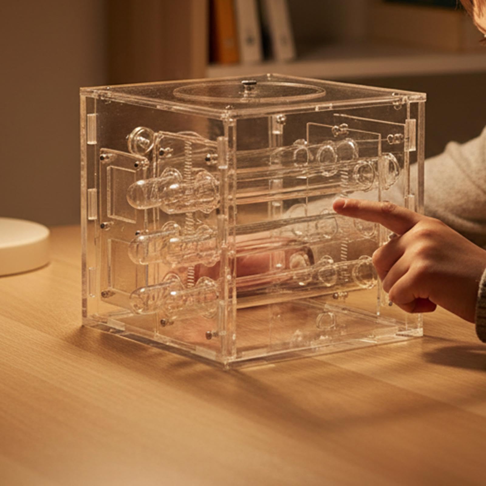 Hormiguero, Vitrina de Acrílico Transparente, Kit de Cumpleaños para, Hábitat Educativo para Adultos en Interiores.