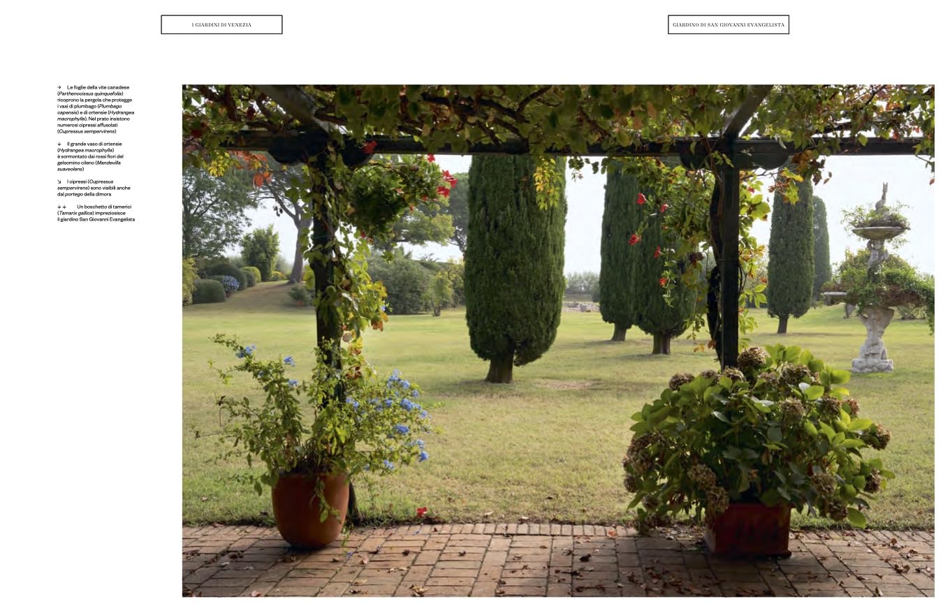 I giardini di Venezia. Ediz. a colori