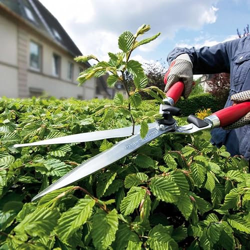 Miniatura 11 de BERGER Topiary Shear 2510 - Cizalla de jardín con mango de madera de haya con cuchillas autoafilables, longitud 17.7 in