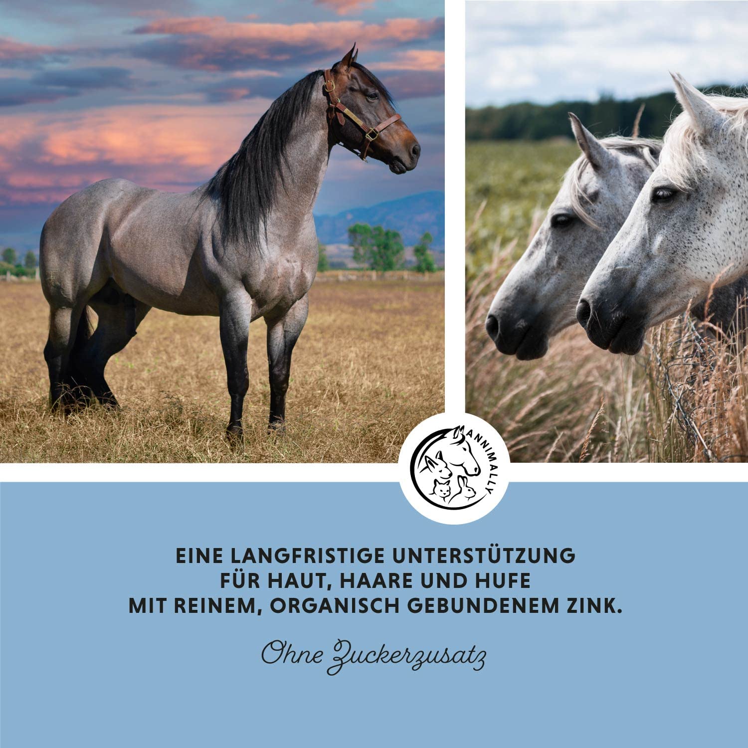 Annimally Zink für Pferde - Zink Pferd hochdosiert Pellets (700g) - Unterstützt beim Fellwechsel Pferd - Mit Schwarzkümmel, Zeolith und Bierhefe für Haut, Haare & Hufe - Spurenelemente Pferd - 4
