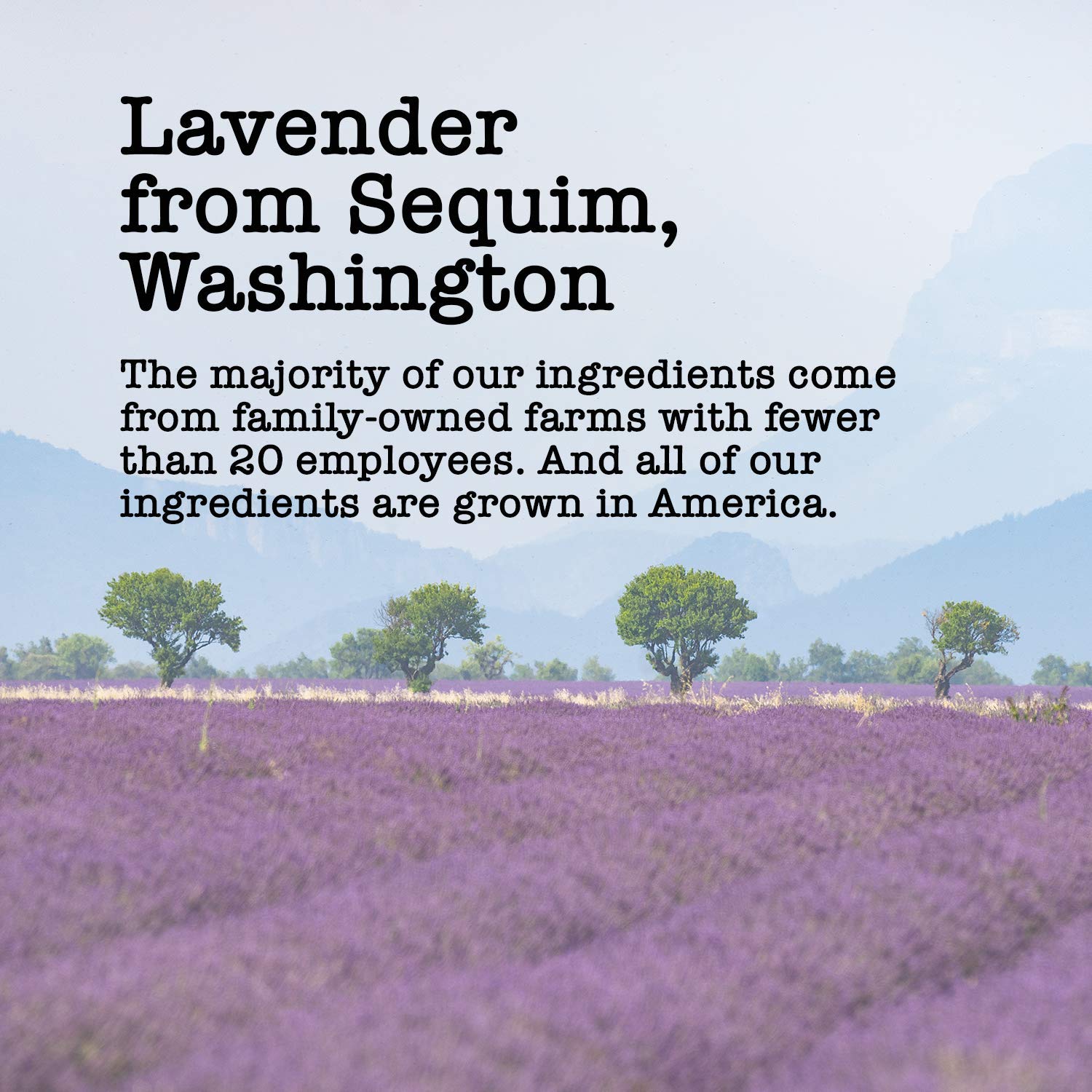 Harts of America Lavender Chamomile Mint Tea (1oz Small)