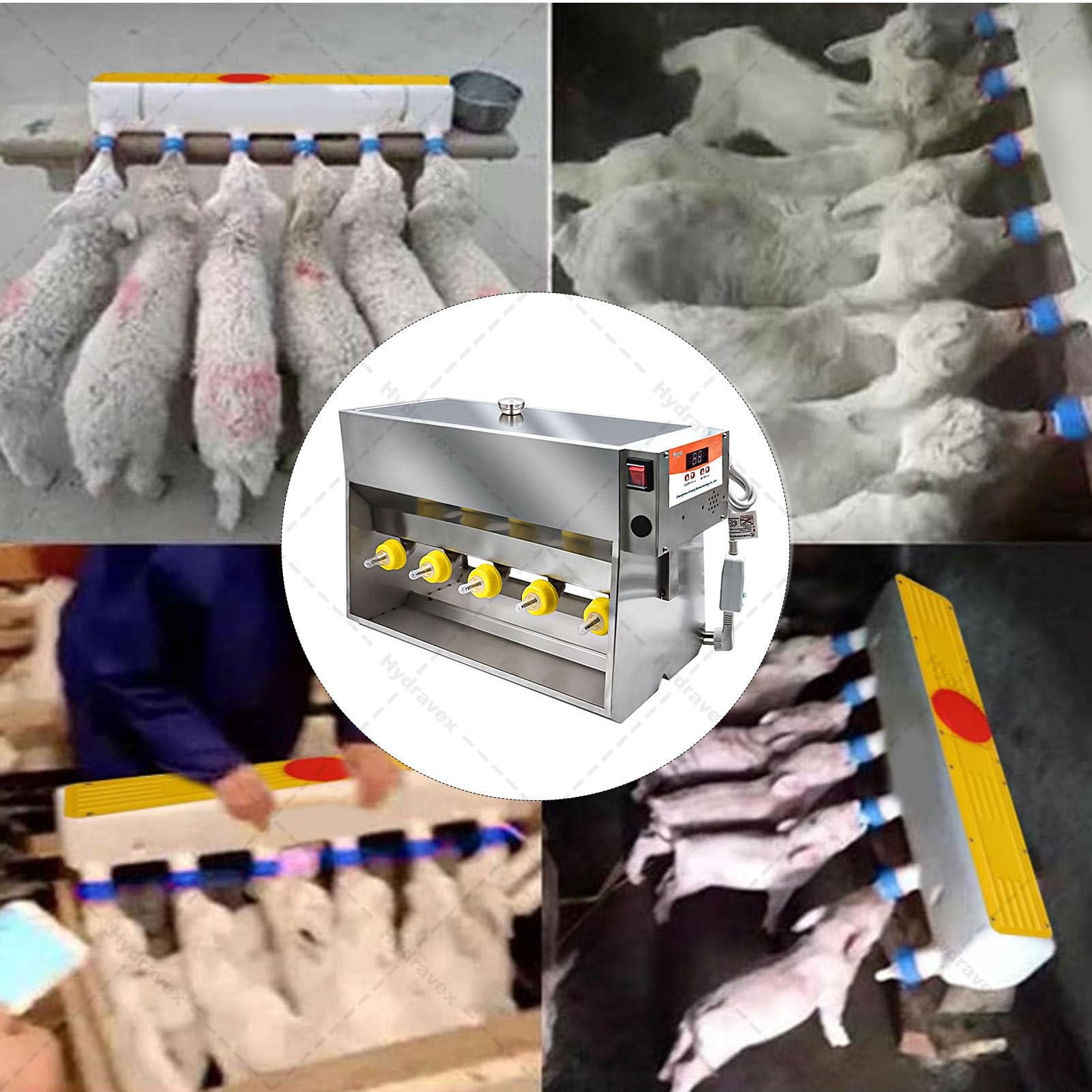 Comedero de leche para lechones de 15/20 L, agitación automática con simulación de sonido, máquina de lactancia de acero inoxidable para corderos y ganado pequeño, evita correr