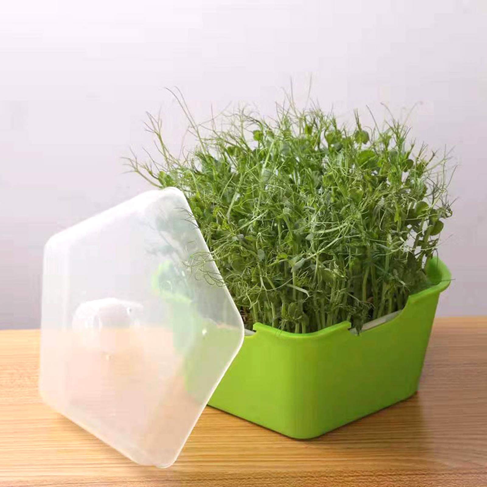 Seed Trays - Propagator with Lid, Double-layer Thickened, Rectangular Balcony Gardening Planting Tray, Plastic Sprouts Seedling Tray, 19X19X9 cm (Green)
