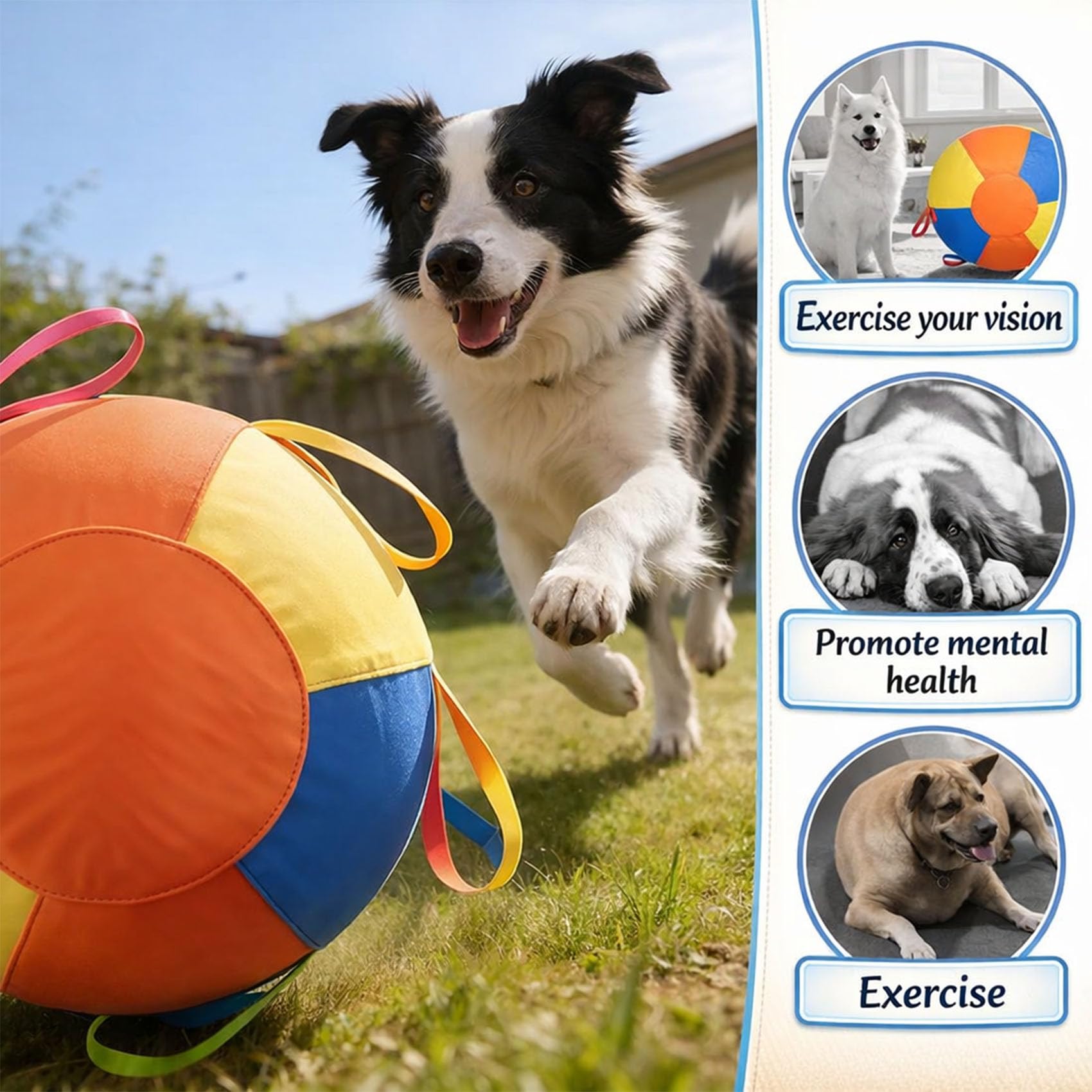 Herding Balls for Dogs, Calming Jumbo Ball for Dogs, 10 18 22 Inch Giant Inflatable Dog Ball with Reinforced Handles Cover & Pump, Durable Tear Resistant Toy for Training Exercise Play (55 cm/21.65in)