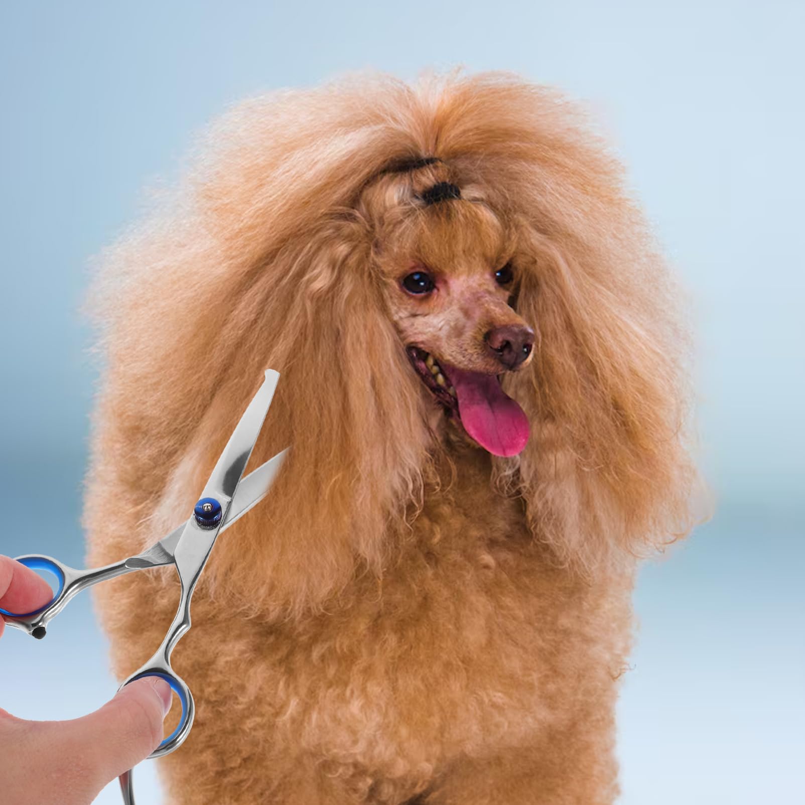 Totority 1pc Pet Hairdressing Scissors Rust Portable Trimmer with Round Head Design for Safe Grooming Ergonomic Handle for Comfortable Grip for Home and Professional Pet Care Silver