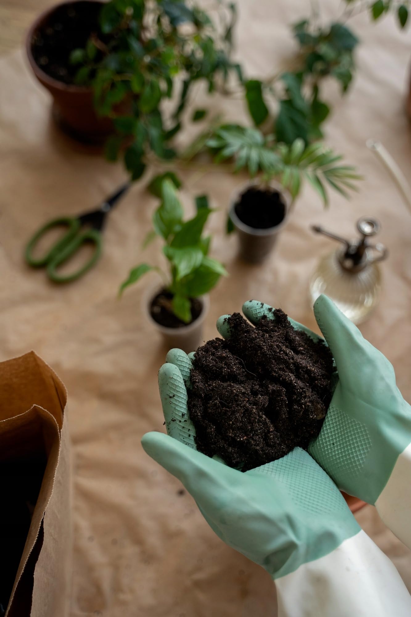 BIOVITA Podłoga uniwersalna 5 l wieloskładnikowa ziemia do roślin gotowa do użycia ziemia naturalne pochodzenia