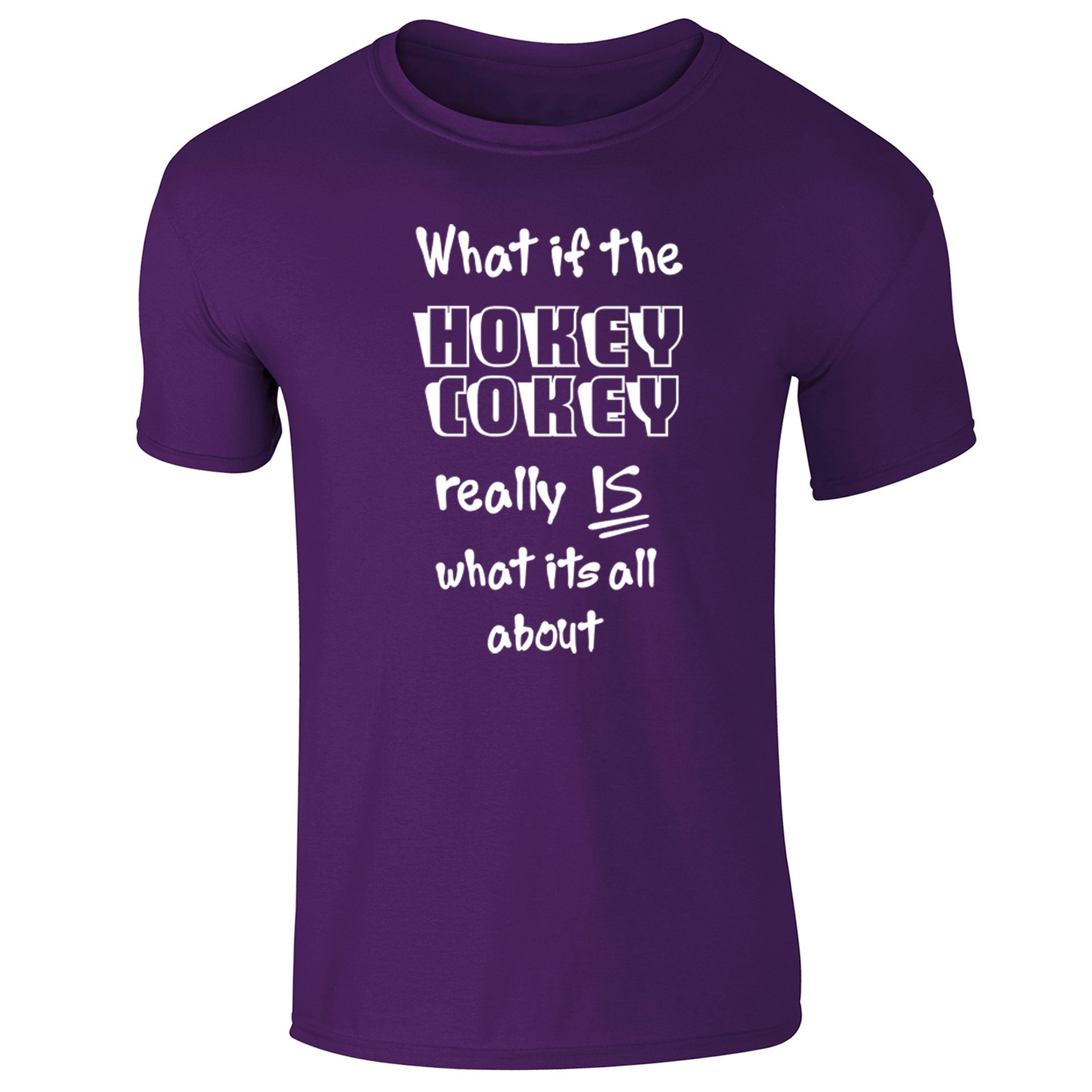 Flip Mens Funny Slogan T-Shirt What If The Hokey Cokey Really is What Its All About Purple (L)