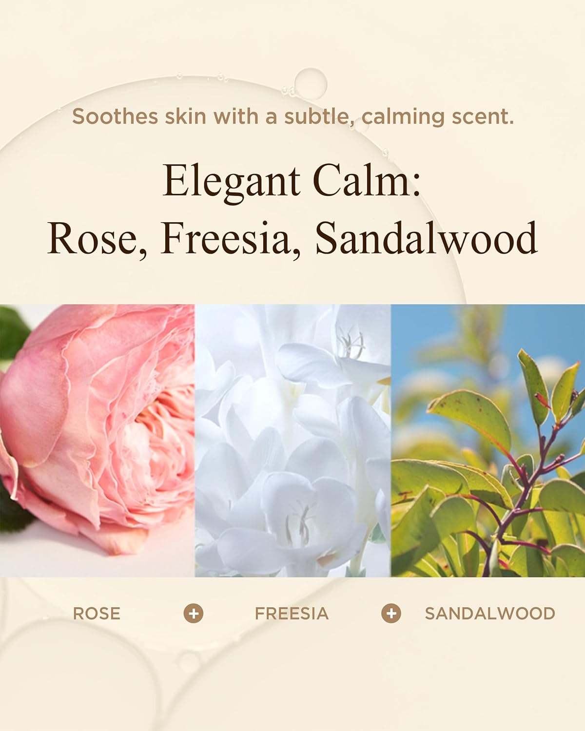 Bon Yeon Jin Red Ginseng Toner for Dry Skin, Non-Sticky – Patented Saponin + 7 Hanbang Herbs, Alcohol Free, Large Size 5.41 fl.oz Anti-Aging Firming for Women Men Elasticity Support - Image 6