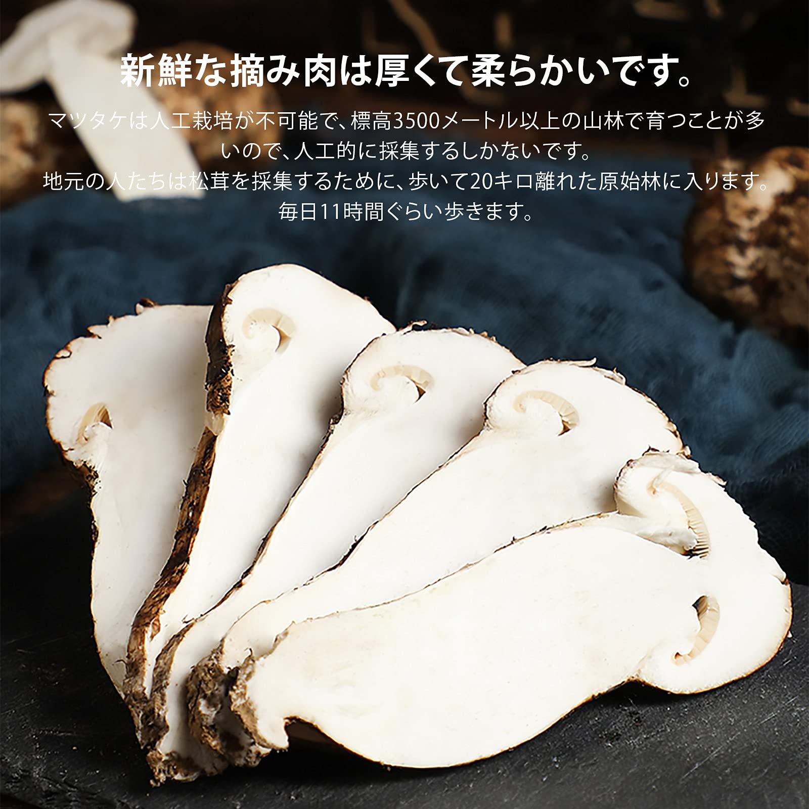 Amazon.co.jp: シャングリラ松茸 まつたけ マツタケ 中国云南省 高原 