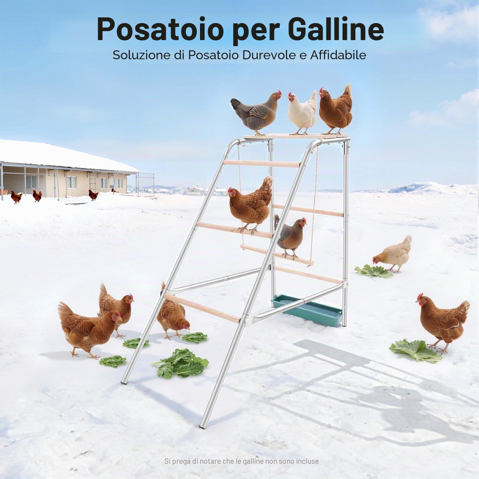 110 x 49 x 100 cm, posatoio per polli, in legno di eucalipto, a 4 livelli, con tromba, giocattolo per polli e galline