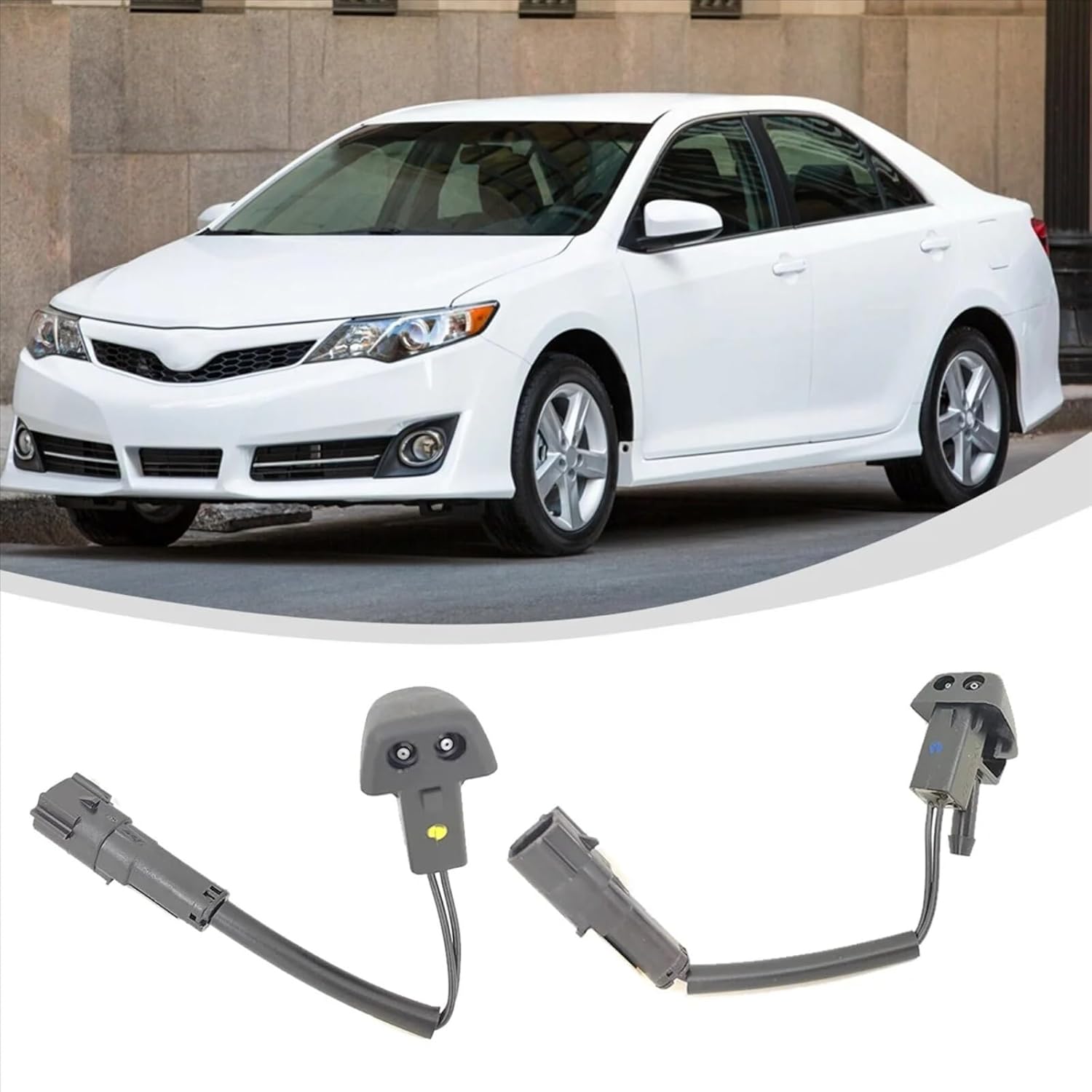 チェスト114 フラップテールマウス チェスト114 フラップテールマウス