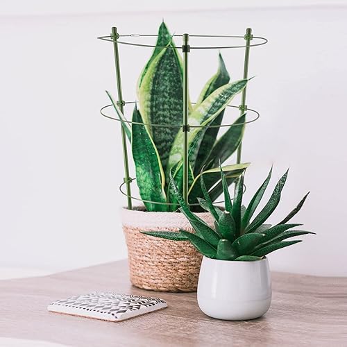 Miniatura 2 de Paquete de 3 jaulas de tomate para jardín, 18 pulgadas, estaca para plantas de enrejado de pepino con anillos ajustables para verduras, flores,