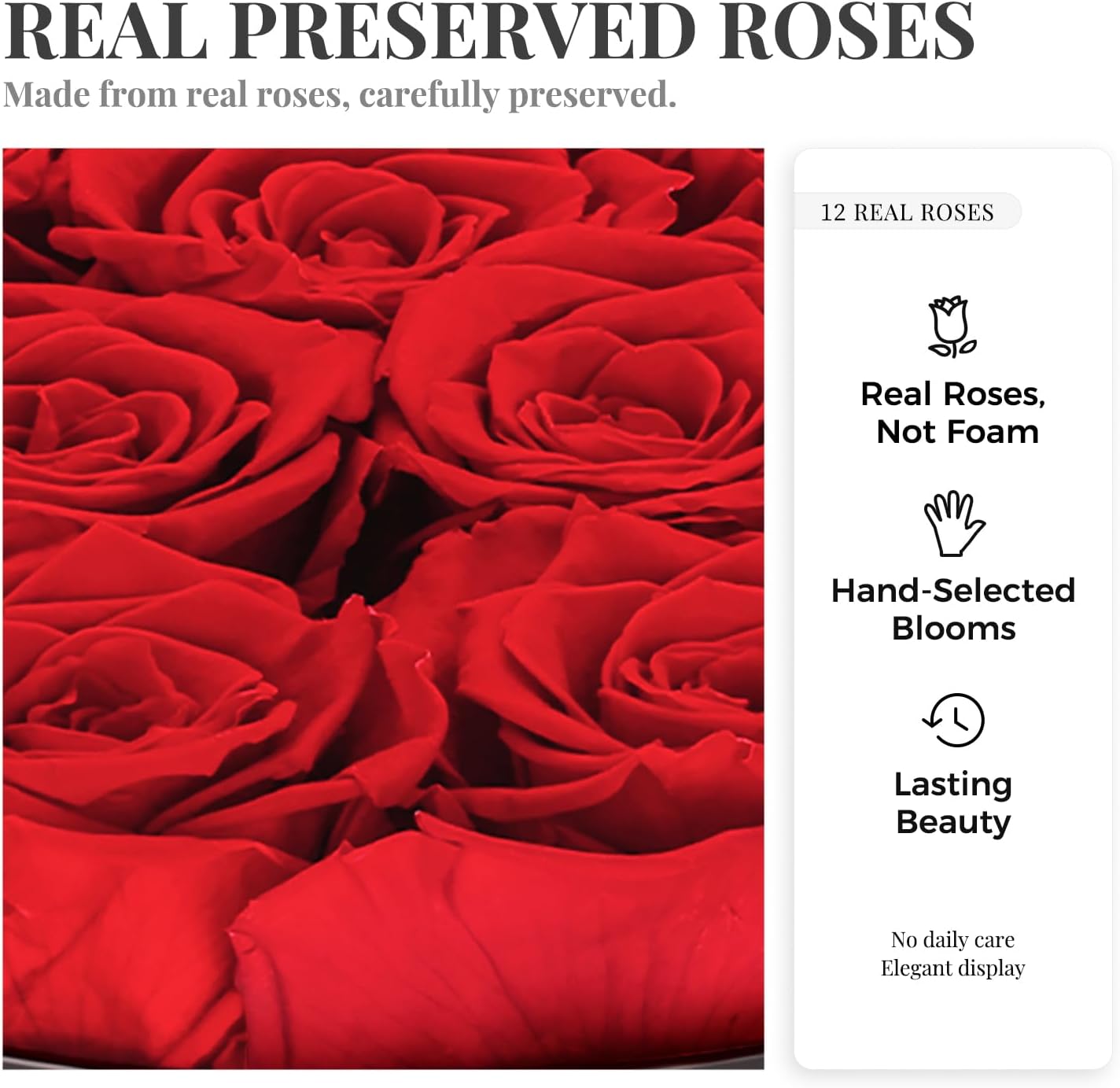 Preserved Roses in a Box – 12 Real Forever Flowers, Luxury Round Flower Gift for Her, Elegant Red Roses for Valentine’s Day, Anniversary & Home Décor