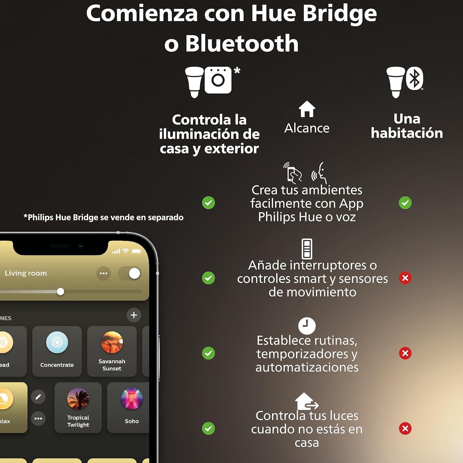 Philips Hue Guirnalda Festavia, Luz Blanca y de Colores, Regulable, 250 Micro LEDs, 20 m, Resistente al Agua, Compatible con Amazon Alexa, Echo, Echo Dot