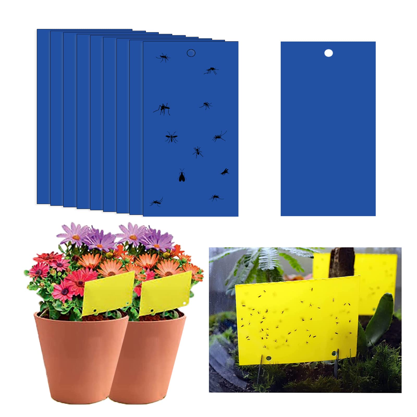 Sticky Fly Traps, 20 * 25cm Blue Fly Paper Stickers, Blue Sticker Protection Plant, Sticky Fly Catchers Dual-Side For Insect Against Fungus Gnats, Whiteflies, Aphids